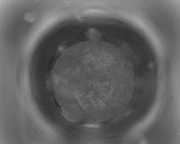 X0000082170765200701270000