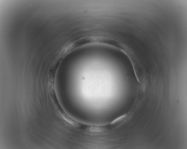 X0000082170766200701270000