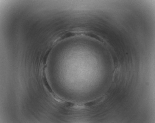 X0000082170767200701270000