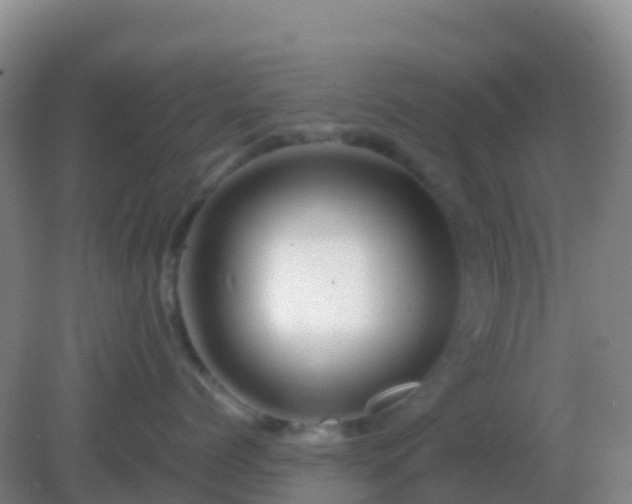 X0000082170768200701270000