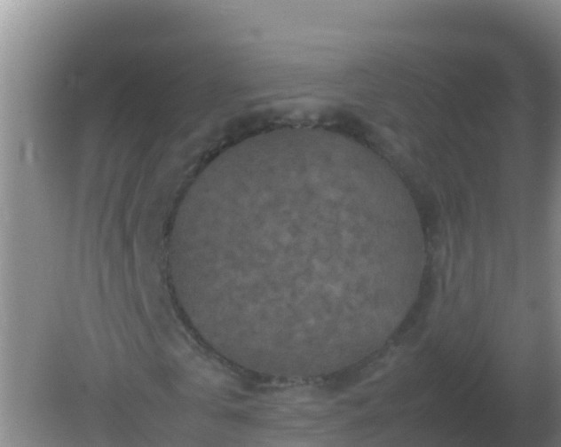 X0000082170769200701262359