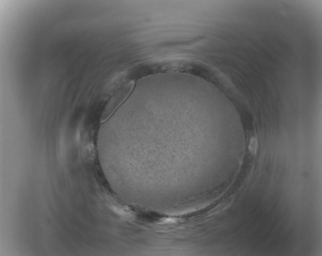 X0000082170771200701262359