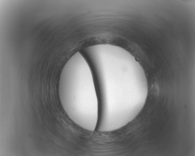 X0000082170772200701262359