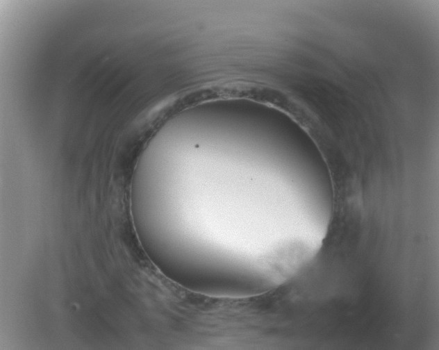 X0000082170773200701262359