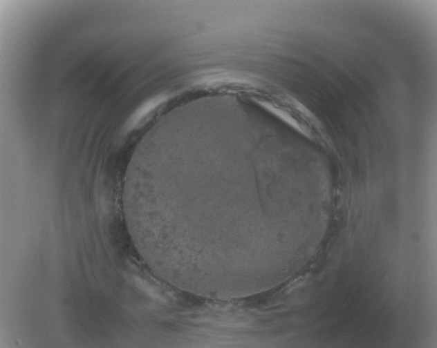 X0000082170775200701262359