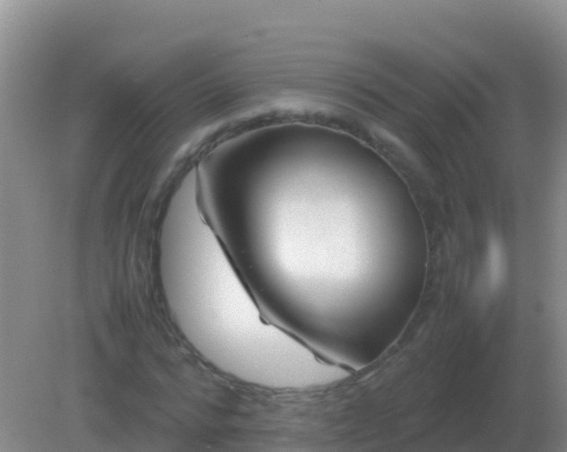 X0000082170776200701262359