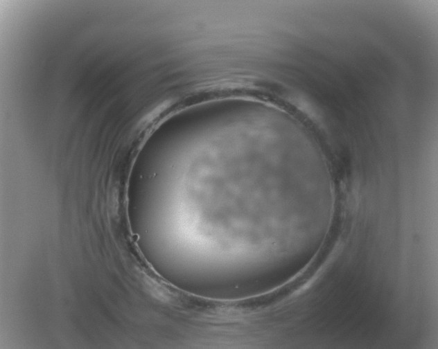 X0000082170777200701262359