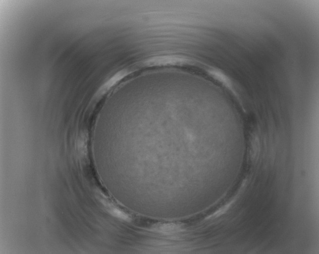 X0000082170778200701262359