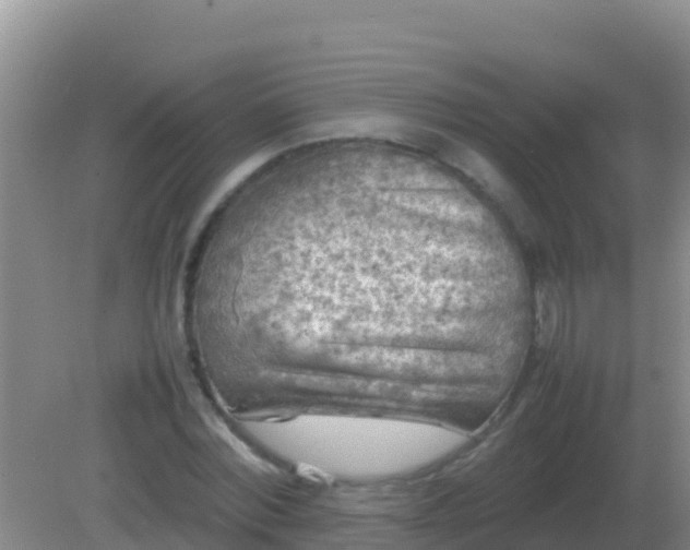 X0000082170780200701262359