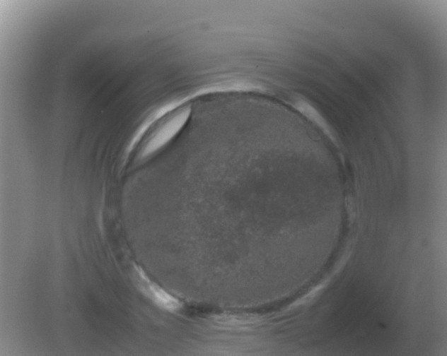 X0000082170781200701262359