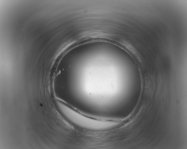 X0000082170782200701262359