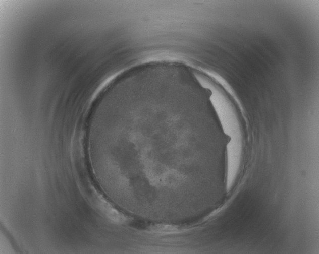 X0000082170783200701262359