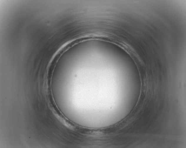 X0000082170784200701262359