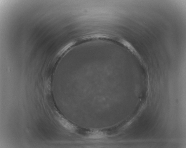 X0000082170785200701262359