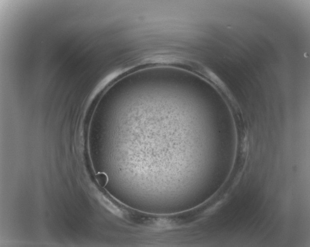 X0000082170787200701262359