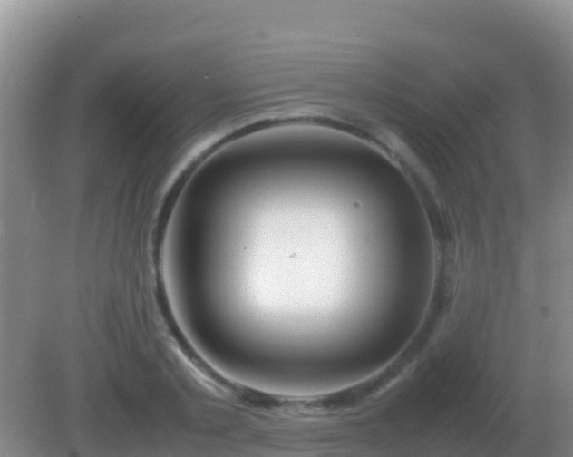 X0000082170789200701262359