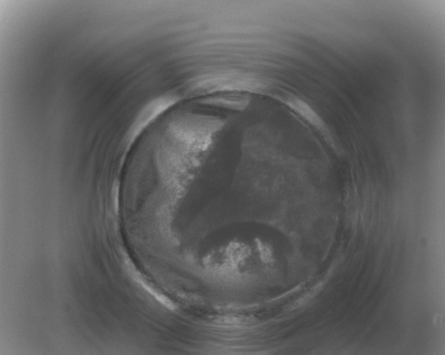 X0000082170790200701262359