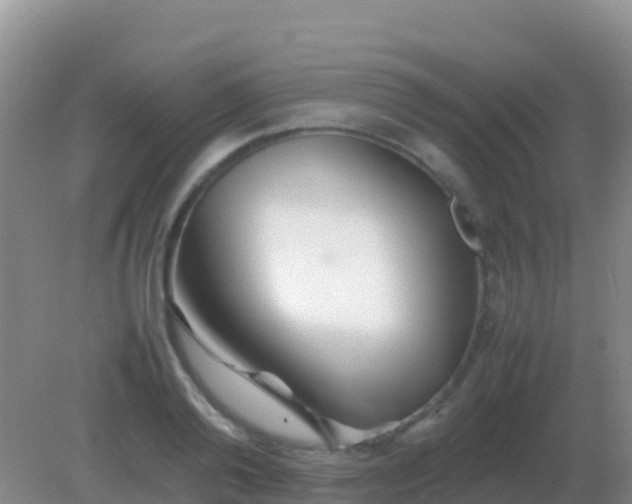 X0000082170792200701262359