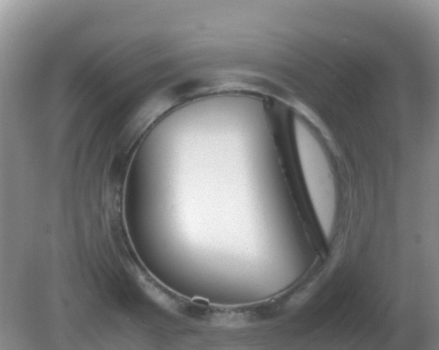 X0000082170793200701262359