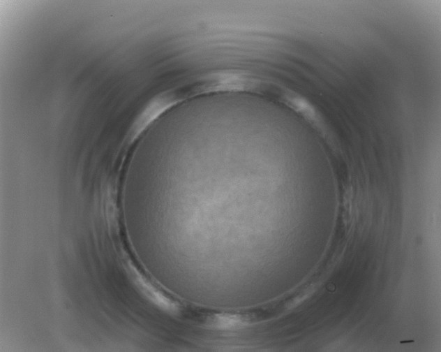 X0000082170794200701262359