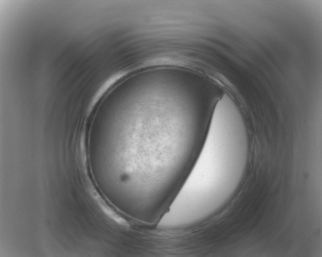 X0000082170796200701262359