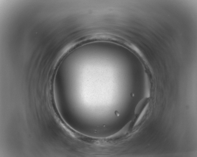 X0000082170799200701262358