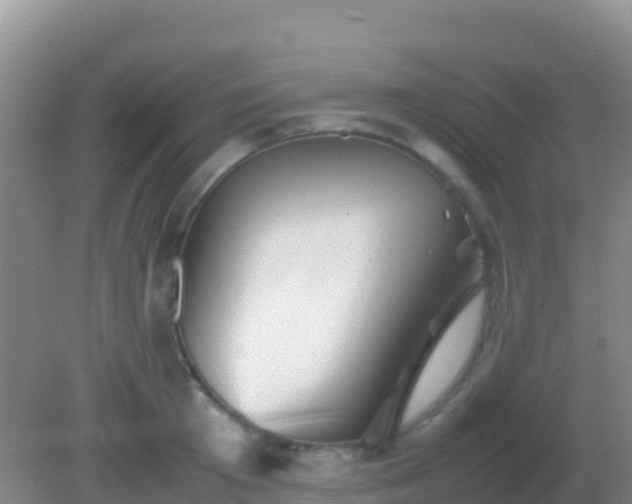 X0000082170801200701262358