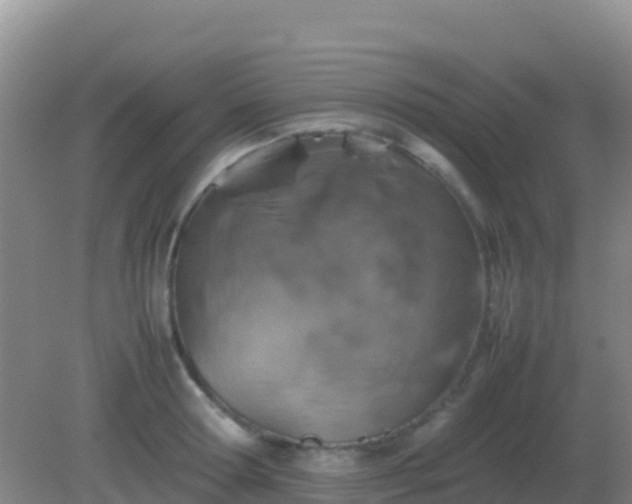 X0000082170802200701262358