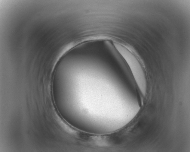 X0000082170805200701262358