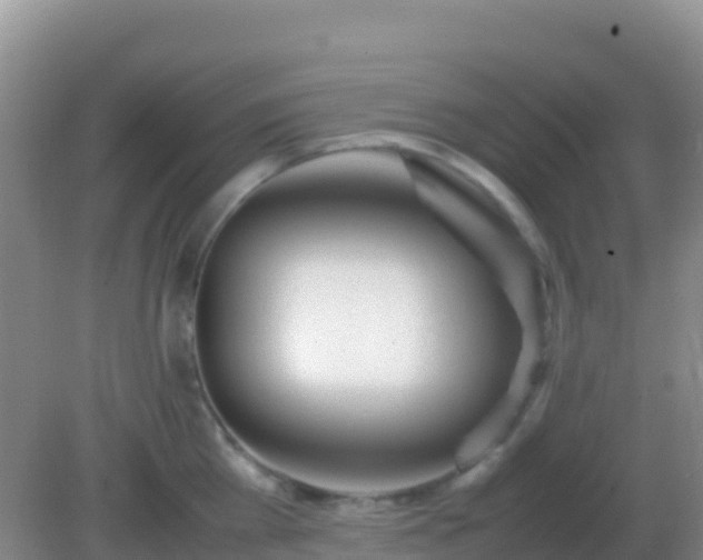 X0000082170809200701262358