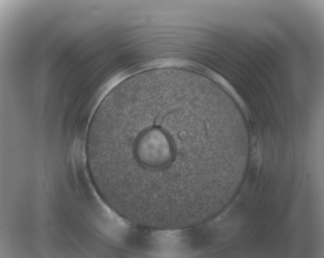 X0000082170810200701262358