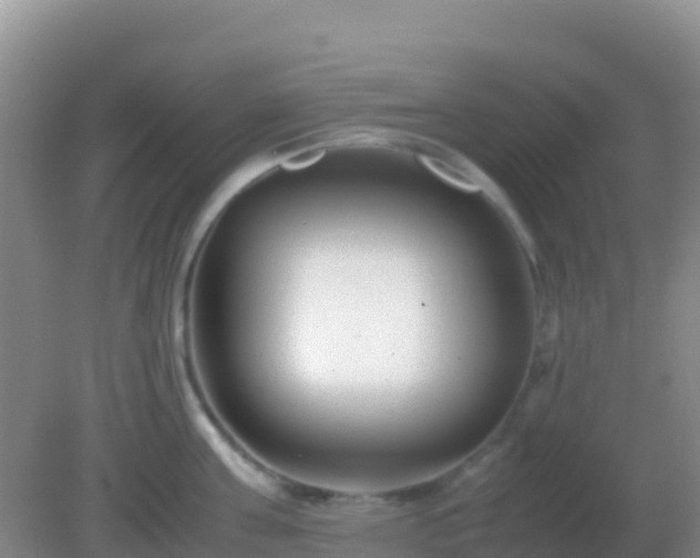 X0000082170811200701262358