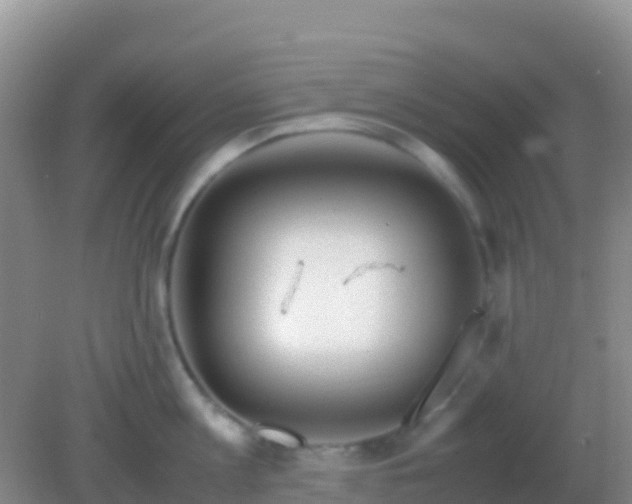 X0000082170813200701262358