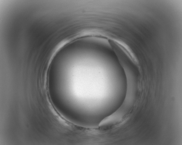 X0000082170815200701262358