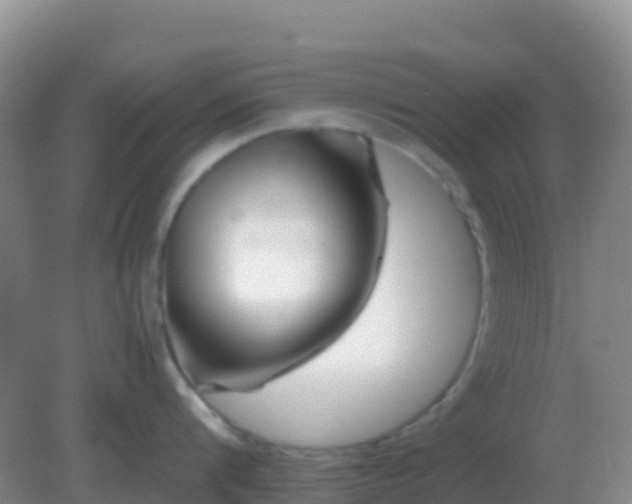 X0000082170816200701262358