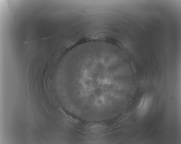 X0000082170817200701262357