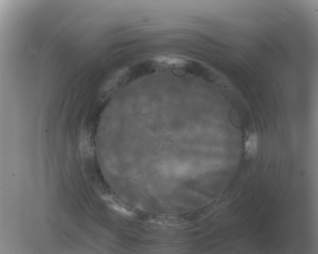 X0000082170819200701262357