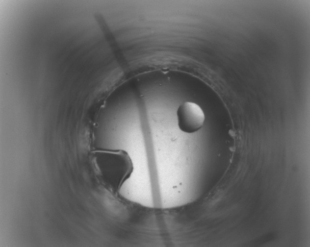 X0000082170820200701262357