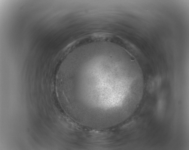 X0000082170821200701262357