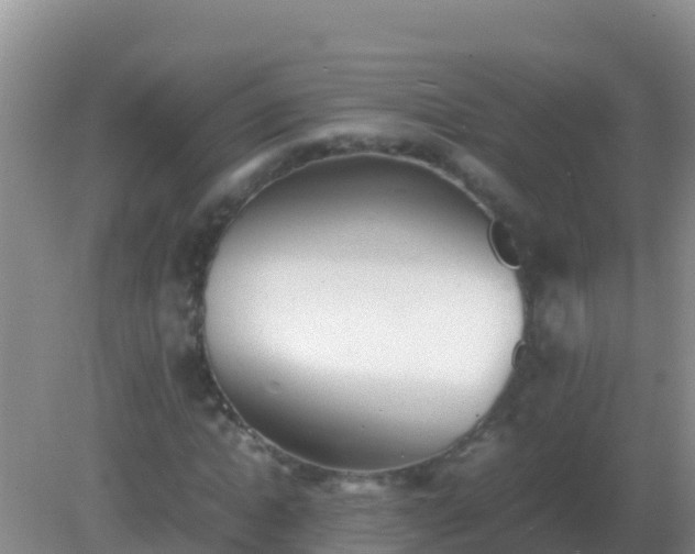 X0000082170822200701262357