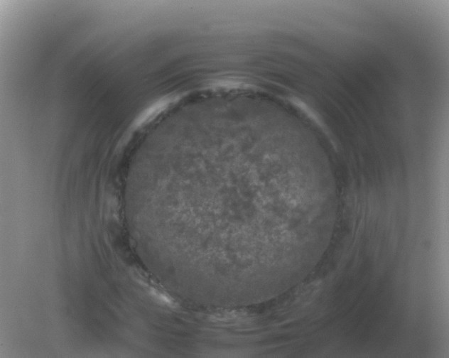 X0000082170823200701262358