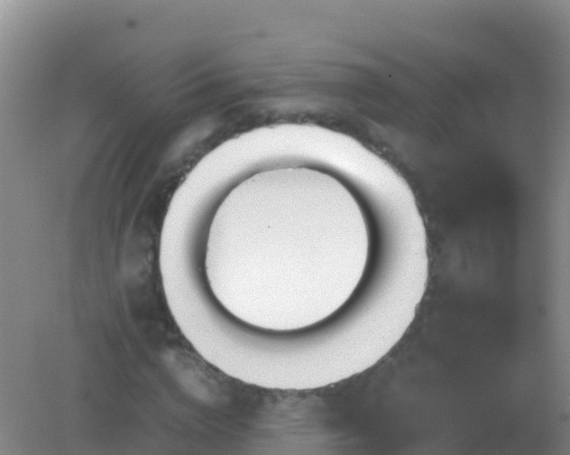 X0000082170824200701262358