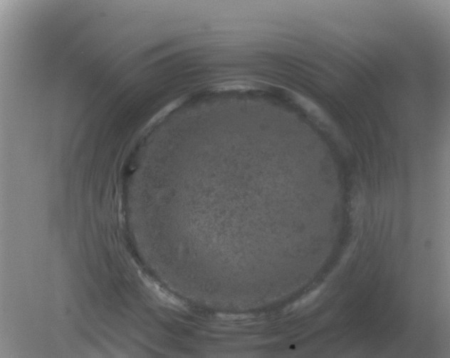 X0000082170825200701262358