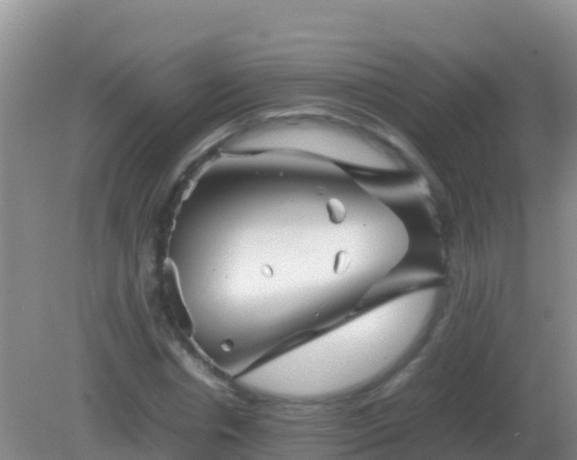 X0000082170826200701262358