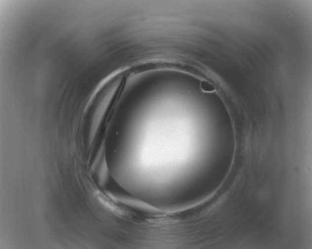 X0000082170830200701262358