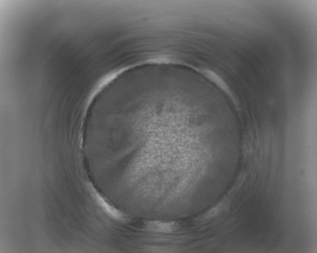 X0000082170831200701262358