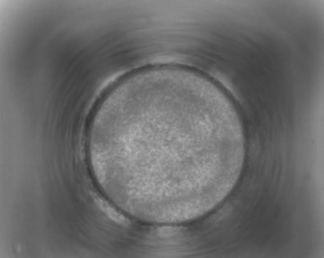 X0000082170832200701262358