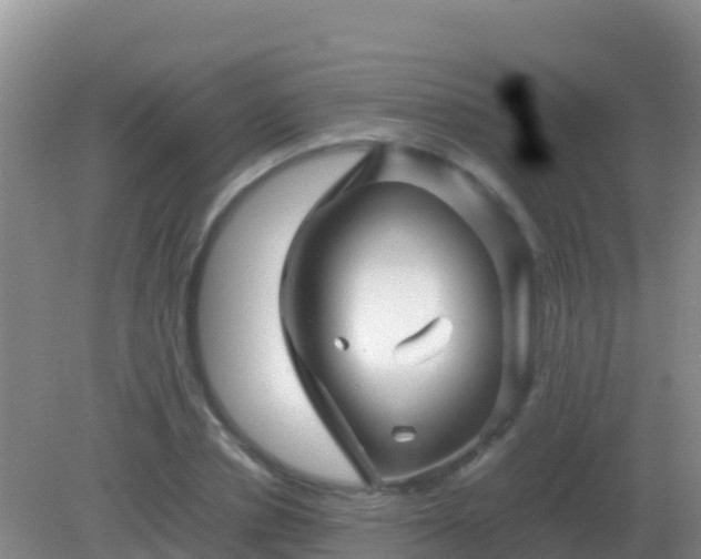 X0000082170834200701262358