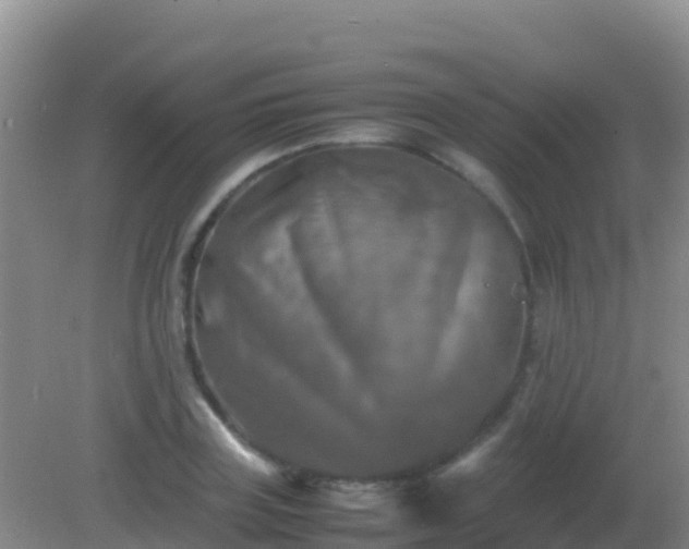 X0000082170835200701262358