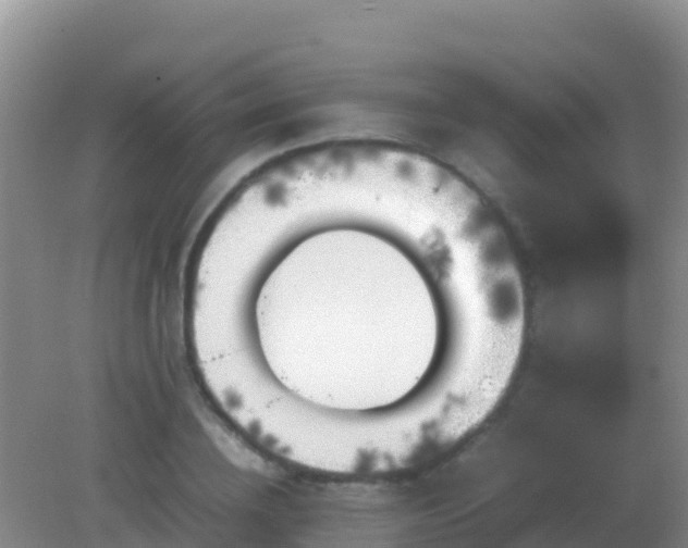 X0000082170836200701262358